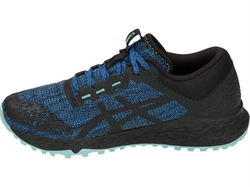 Кроссовки ASICS ALPINE XT Woman T878N-400 - фото 25685